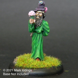 Kindly Old Wizard