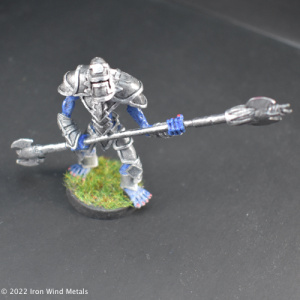 Ranged Warrior 1